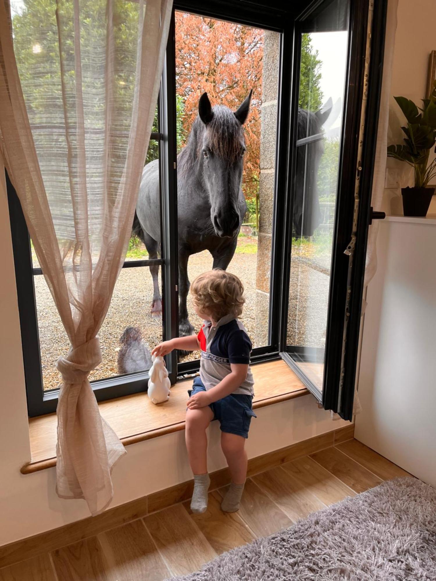 Villa Madelaine Ranch, Nouvelle Piscine 2025 Le Gast Exterior foto